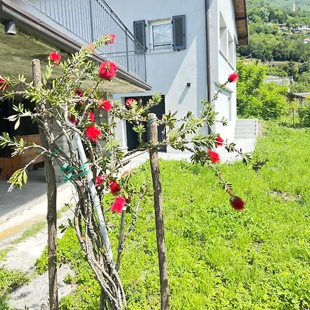Vicino Al Lago, Con Ampio Giardino E Parcheggio *